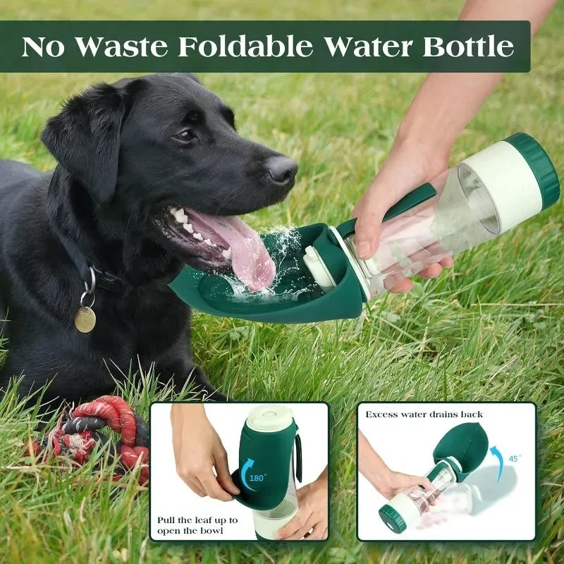 PawsOn-The-Go Water Bottle